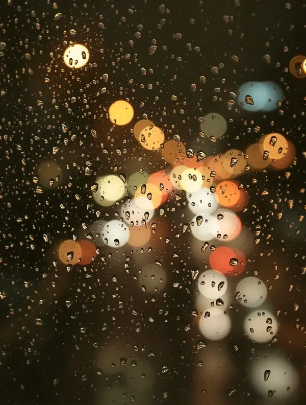 雨夜的白噪音 - 夜晚随笔 - 达达兔